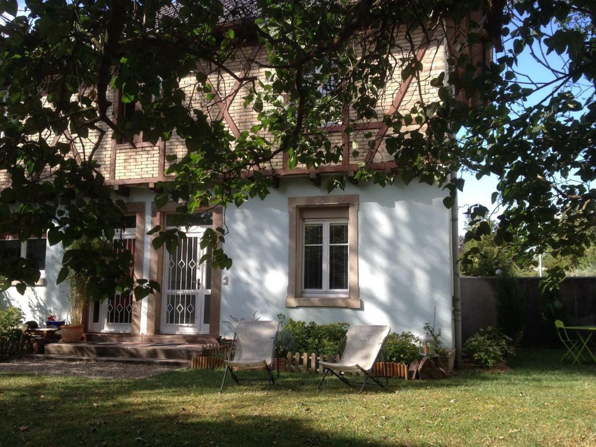 Ferienwohnung Le Petit Parc Colmar Exterior foto